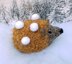 All Seasons Hedgehog - Chocolate Orange Cover