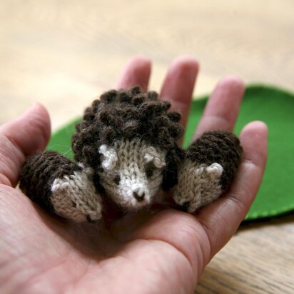 Hedgehogs in a Box - knitting pattern