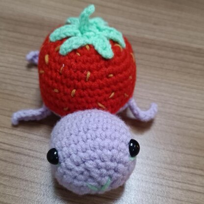 Strawberry turtle