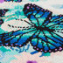 Crystal Art Orchids & Butterflies, 30x30cm Diamond Painting Kit
