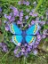 Crochet Karner Blue Butterfly