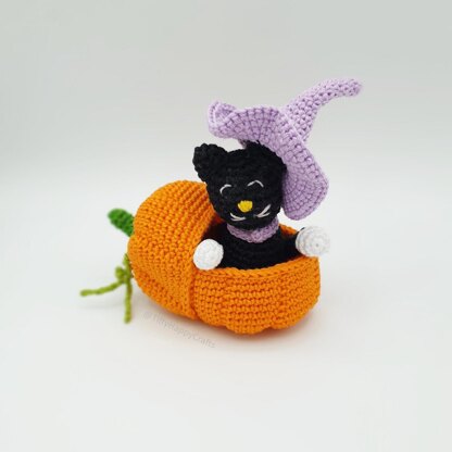 Black Cat in Pumpkin