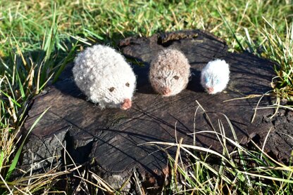 Hedgehog Woodland collection