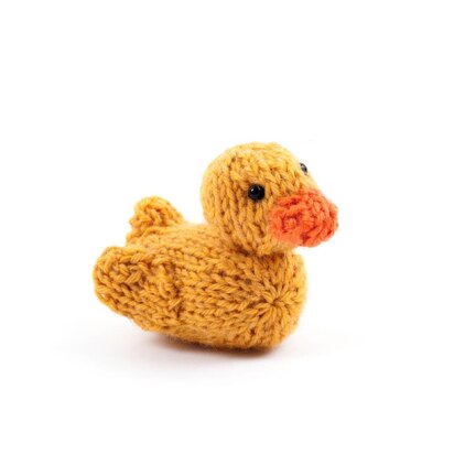 Little Hutty Duck