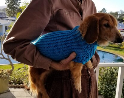 Twisted Rib Mini Doxie Sweater
