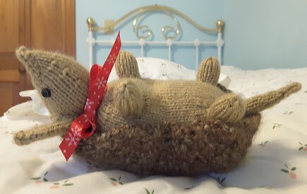Christmas Armadillo #4