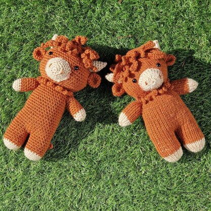 Harry Highland Cow