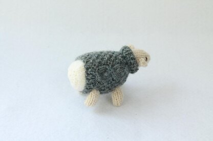 The Woolly Sheep