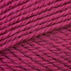 Fuchsia (2344)