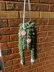 Hanging Plant with Flowers DIGITAL PATTERN