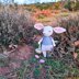 Alice the Easter Bilby