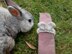 Easter Bunny Ears Napkin Rings