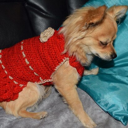 Crocheted Chihuahua dress