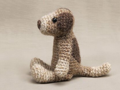 Droebel the dog