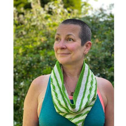 Panorama Cowl