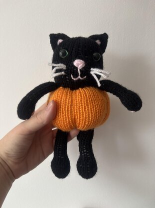 Pumpkin kitty