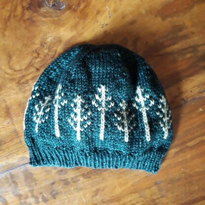 Pinaceae dk hat