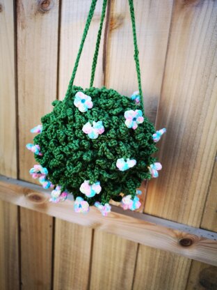 Hanging Ball Plant