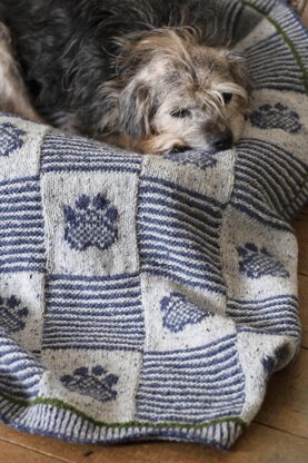 Pet Blanket