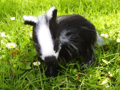 Bonnie the baby badger