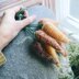 Peter Rabbit and Carrots