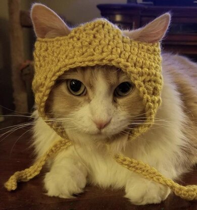 Cat Hat and Beanie Pattern