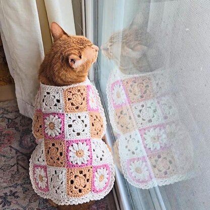 Daisy Cat Sweater