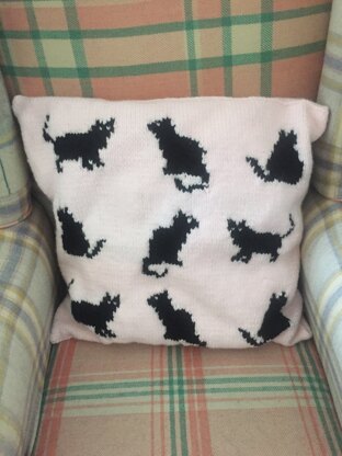 Cat cushion for my sisters birthday