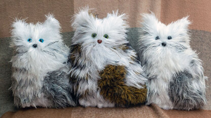 Three fluffy cats