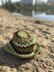 Pistachio hat