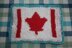 Patriotic Dishcloth-Scrubbie