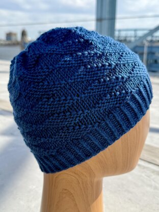 Locust Street Beanie