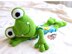 Girl Frog Ragdoll