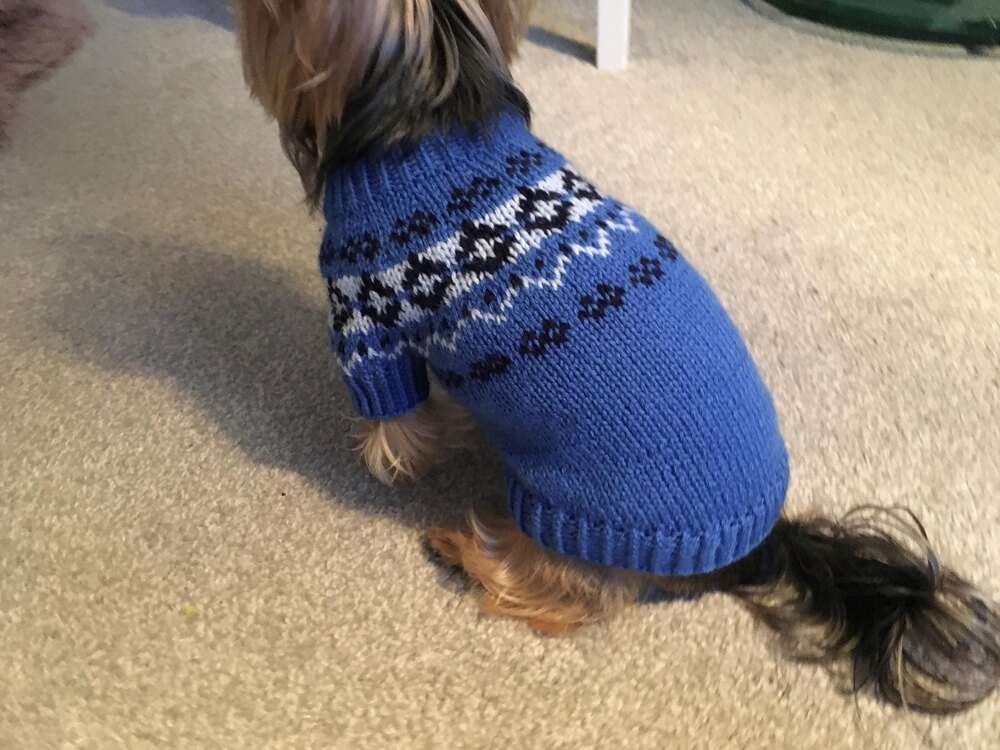 Top down dog clearance sweater