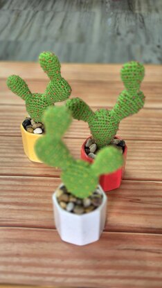 Prickly pear cactus