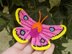 Eochroa Trimenii Butterfly