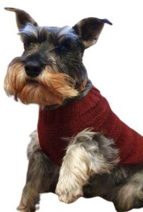 DOG JUMPER