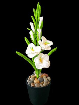 Crochet Gladiolus flowers