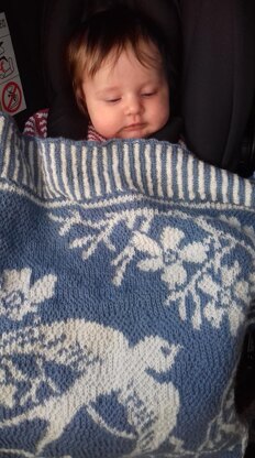 Bluebird Baby Blanket