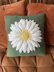 Daisy pillow