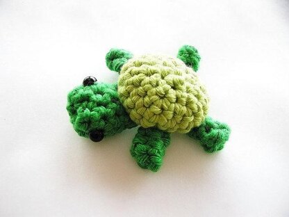 Mini Turtle