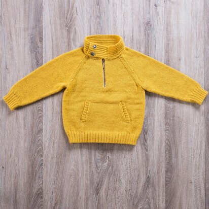 Boys Zipped Neck Sweater in Bergere de France Calinou - 60387-07 - Downloadable PDF