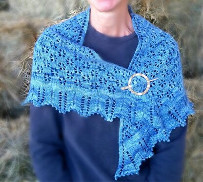 Darlin' Clementine Shawl