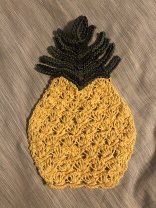 Kristi Dishcloth