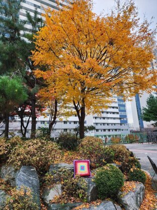 Summer Fun Granny Cushion