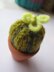 Mini Plants in Pots