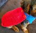 Super Pet Costume