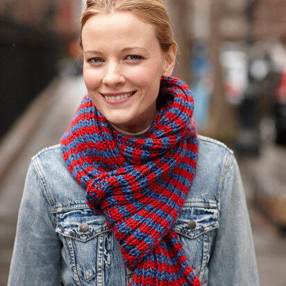 Patriot Scarf in Lion Brand Heartland - L30119