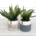 Chunky Planter Sweaters 053