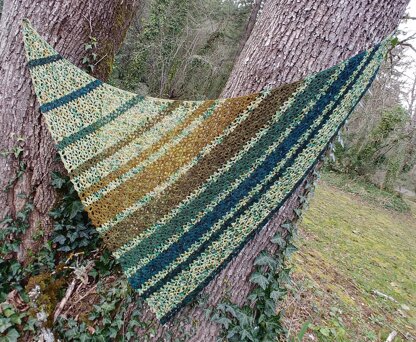 Ned's Dye-Pot Shawl